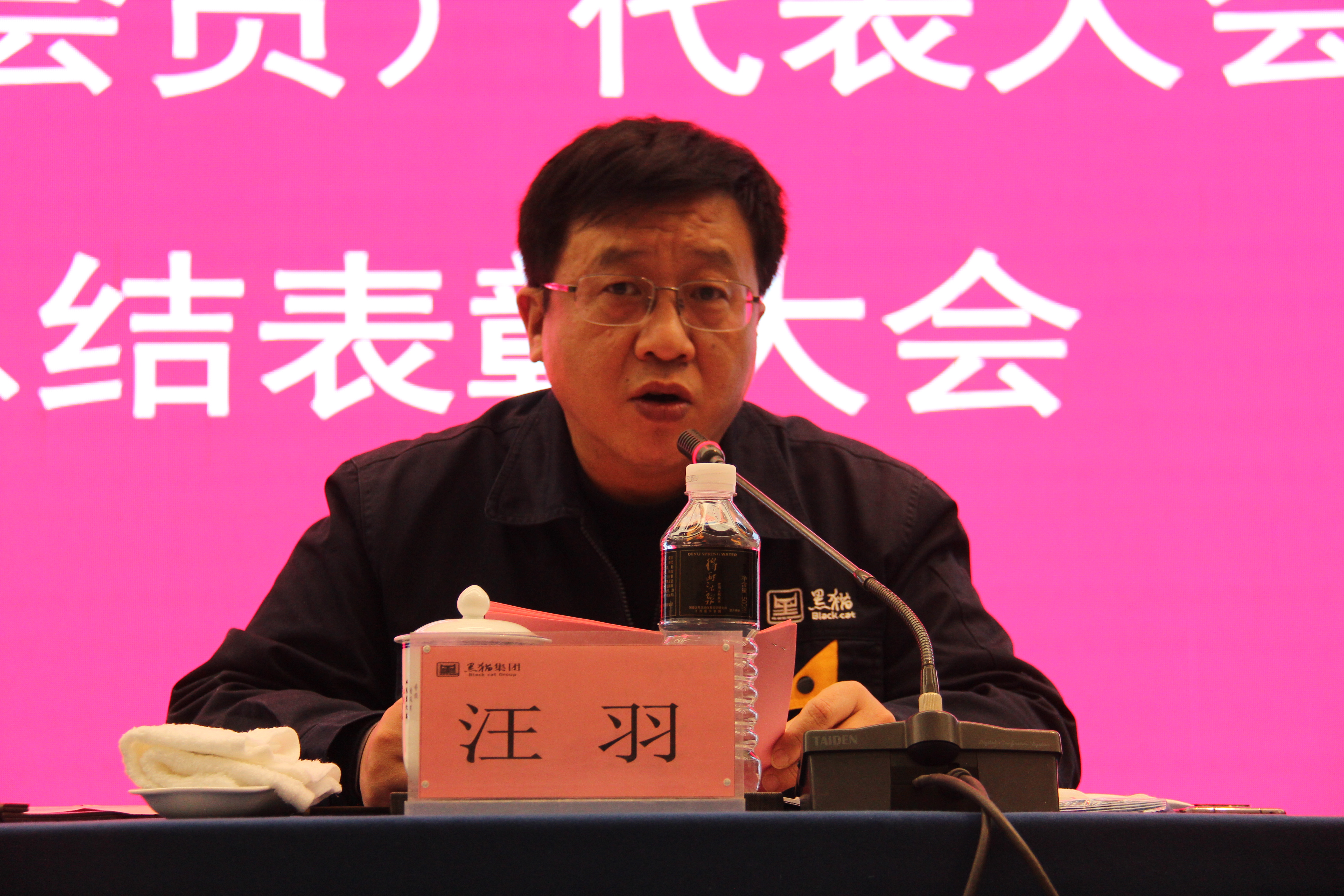 黑貓集團黨委副書記、總經理汪羽發(fā)言 (2).JPG