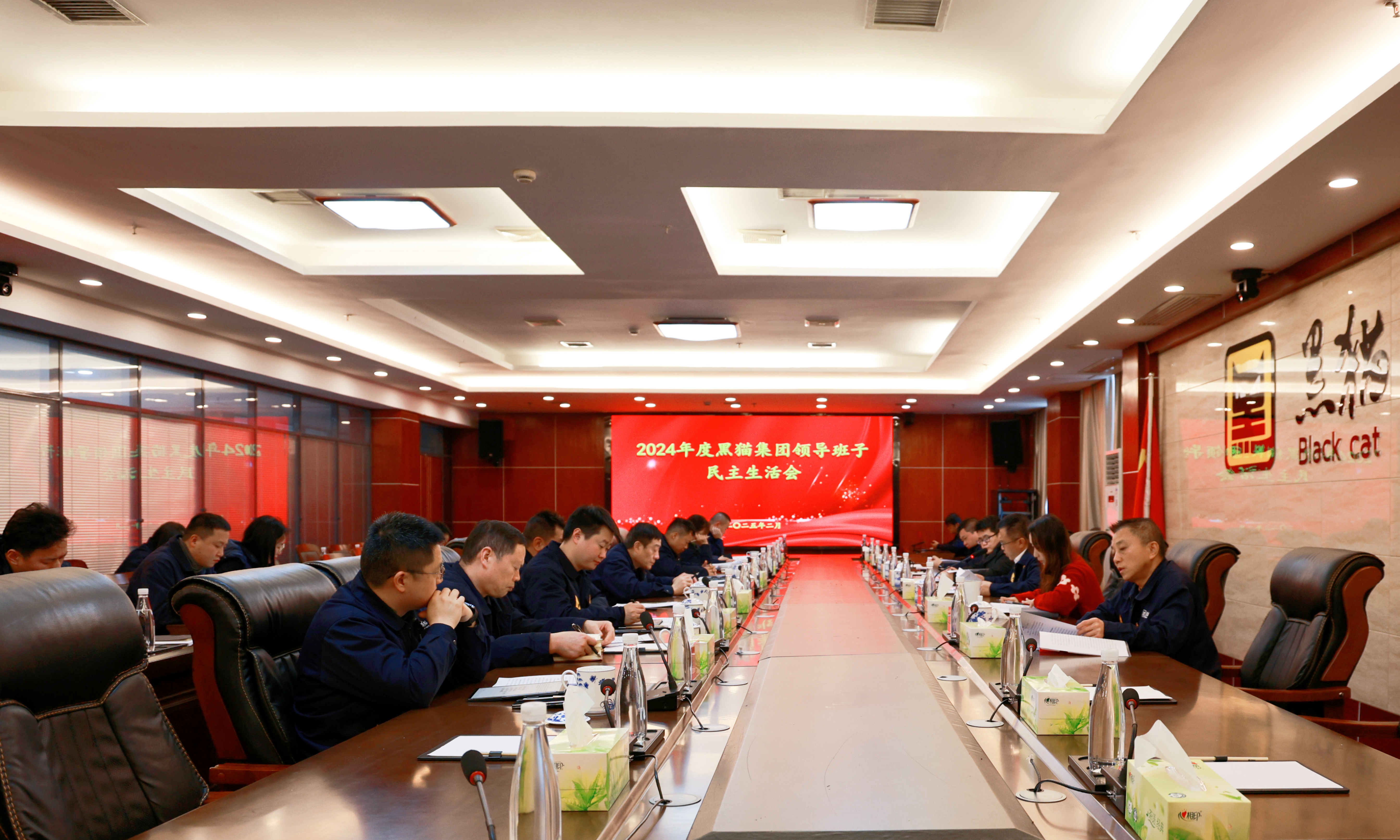 黑貓集團黨委領(lǐng)導(dǎo)班子召開2024年度民主生活會